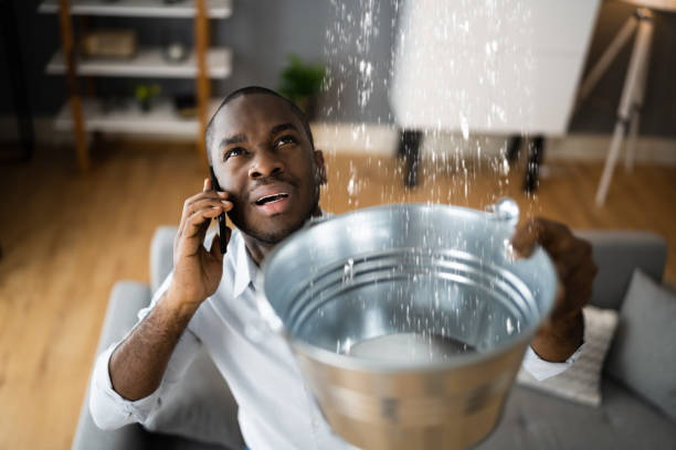 Best Water damage restoration near me  in Orchard Mesa, CO