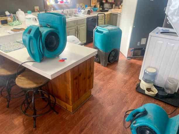 Best Water damage restoration company  in Orchard Mesa, CO