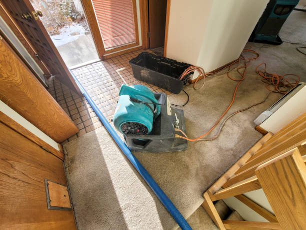 Best Water damage contractors near me  in Orchard Mesa, CO