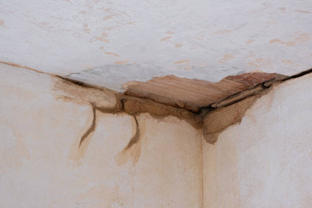 Reliable Orchard Mesa, CO Water damage restoration Solutions