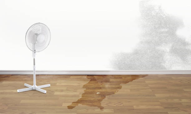 Best Fire Damage Restoration  in Orchard Mesa, CO