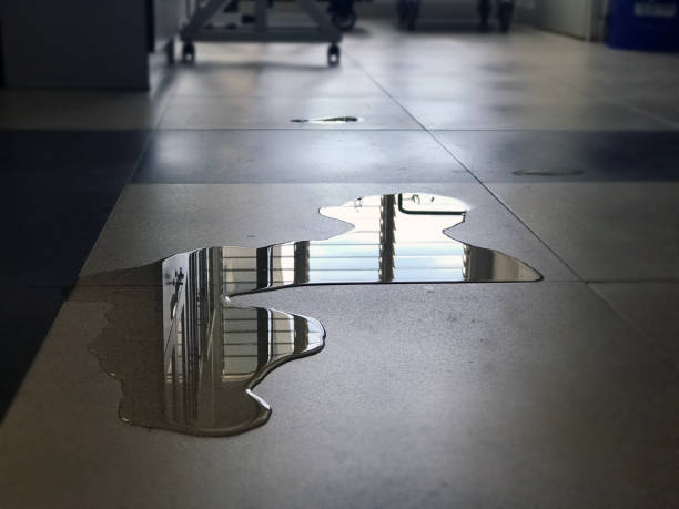 Best Water damage restoration process  in Orchard Mesa, CO