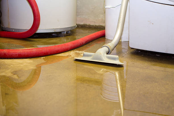 Best Flood restoration services  in Orchard Mesa, CO