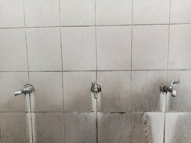 Best Professional water damage repair  in Orchard Mesa, CO