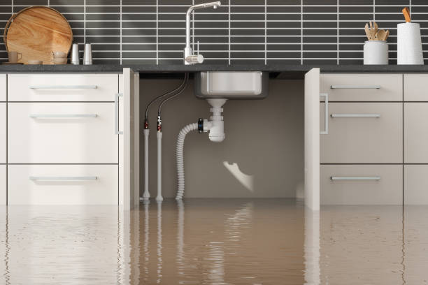  Orchard Mesa, CO Water damage restoration Pros