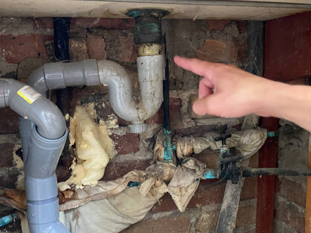 Water damage restoration experts in Orchard Mesa, CO